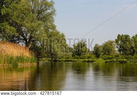 Summer Day Over Warta River In Warta Landscape Park, Lad, Poland.