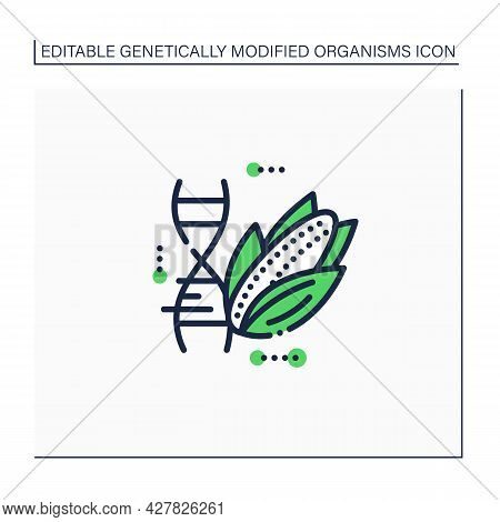 Corn Line Icon. Changing Corn Dna Molecule. Gmo Product. Editing Gene. Microbiology. Genetically Mod