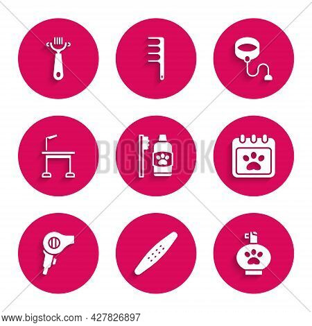 Set Dental Hygiene For Pets, Nail File, Pet Shampoo, Calendar Grooming, Hair Dryer, Table, Retractab