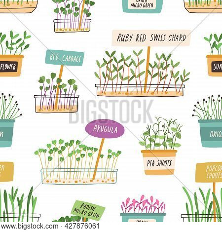 Seamless Pattern With Micro Greens In Pots On White Background. Endless Texture With Microgreen Herb
