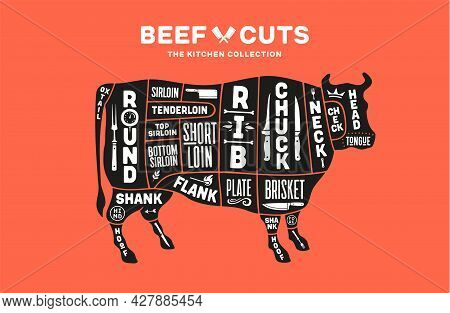 Cow, Beef. Scheme, Diagram, Chart Beef, Butcher Guide. Poster For Kicthen Or Bar Wall Design. Vintag