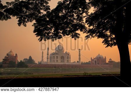 View Of Taj Mahal Framed By A Tree Crown At Sunset, Agra, Uttar Pradesh, India. Taj Mahal Was Design