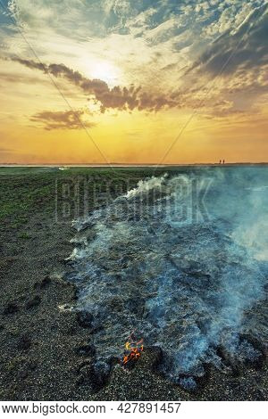 Smoke Over The Field
