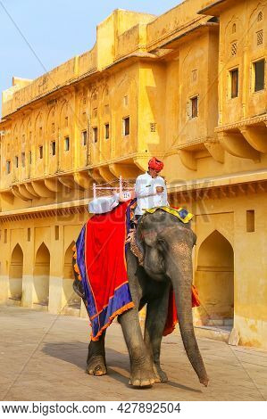 Amer, India - November 13: Unidentified Man Rides Decorated Elephant In Jaleb Chowk In Amber Fort On
