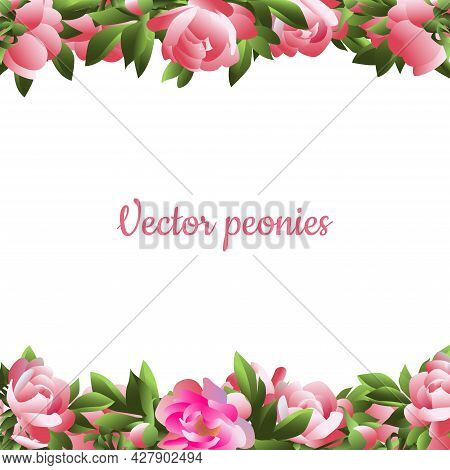 Vector Image Of A Holiday Frame Made Of Pink Peonies.