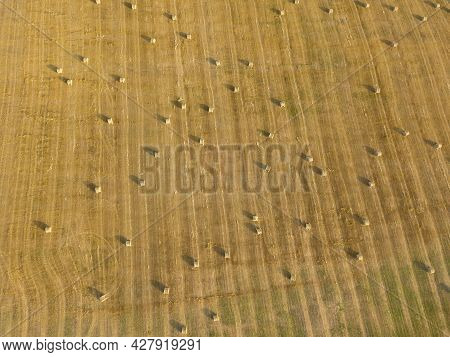 Drone View Of An Agricultural Field Made Of Yellow Round Large Bales After Harvesting. Rolls Of Stra