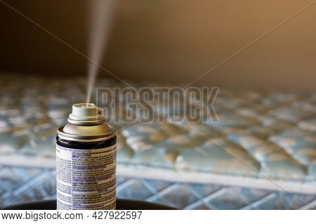 Selective Focus On Insect Insecticide Aerosol Can Fogger Used To Kill Bed Bugs, Spiders, Mites, Flie