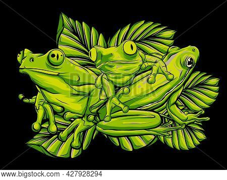 Green Frogs In Different Pose. Vector Illustration.