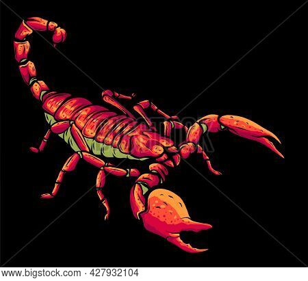 Illustration Of Scorpion Arachnid Insect. Vector Graphics