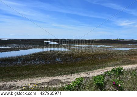 Tidal Flats And Marsh Along The Cape.