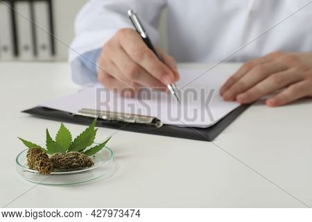 Doctor Working At Table With Medical Hemp And Fresh Leaf, Closeup