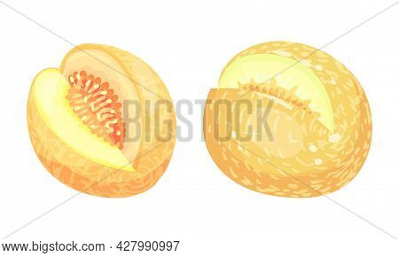 Melon Fruit With Juicy Flesh And Seeds Inside Vector Set