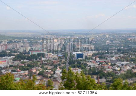 Roofs of city Lviv with trees