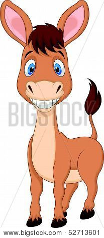 Cute donkey cartoon