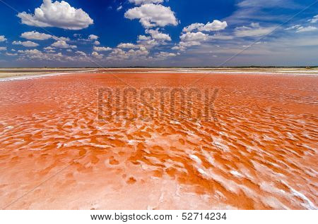Red Salt Pool