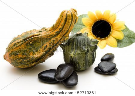 Pumpkin with stones