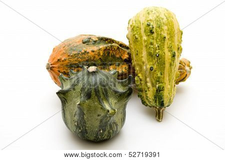 Pumpkin