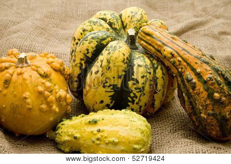 Pumpkin