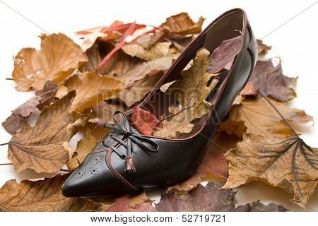 Black ladies shoe with foliage