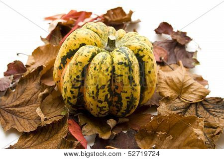 Pumpkin with autumn leaves