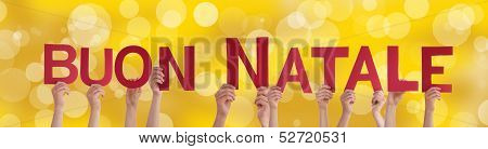 Hands Holding Buon Natale On Golden Background