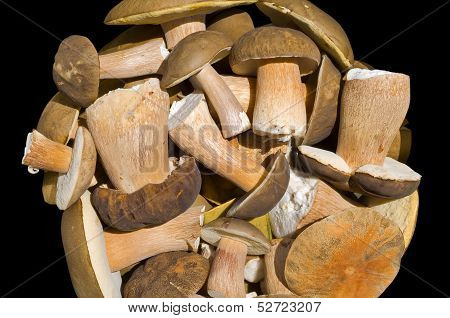 Heap Of Mushrooms