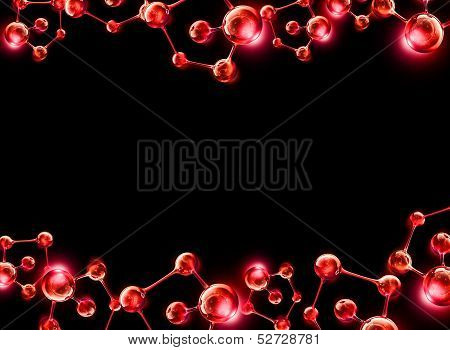 structure of the DNA molecule