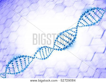 structure of the DNA molecule
