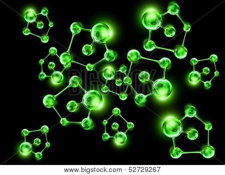 structure of the DNA molecule