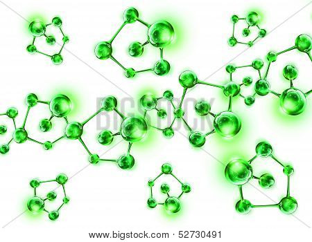 structure of the DNA molecule