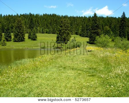 Pond In Mountain