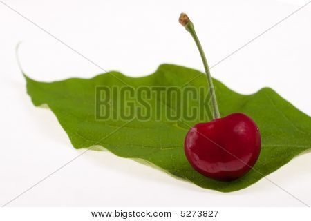 Sweet Cherry