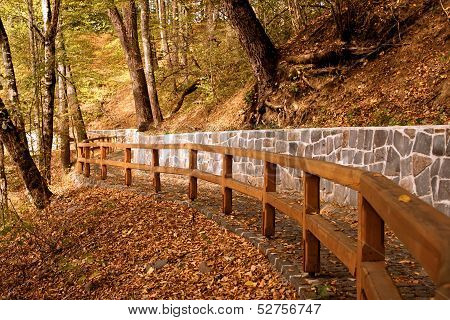 Path With Wooden Fence