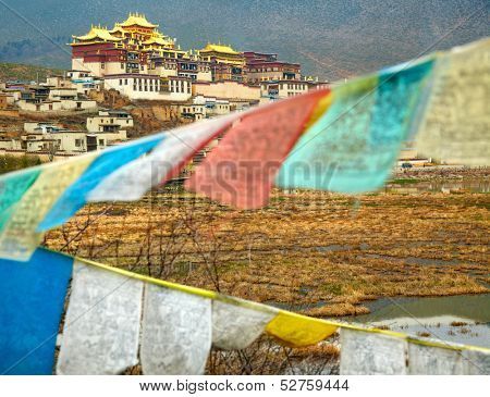 Landscape with tibetan monastery and lake