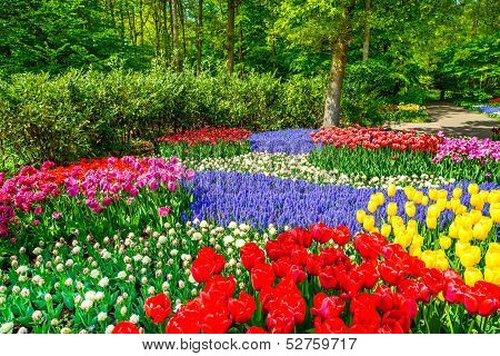 Red Tulip Garden In Spring Background Or Pattern