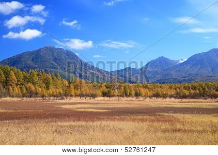 Odashiro Plateau Of Autumn