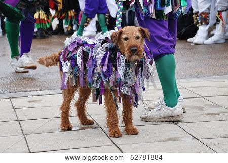 HASTINGS, ENGLAND - MAY 4: A decorated dog belonging to Morris dancers performing on the seafront during the annual Jack In The Green festival on May 4, 2013 in Hastings, East Sussex. 