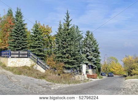 Beauty view of advance autumn