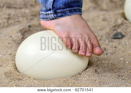 Ostrich Egg Is Strong Enough To Step Up With Feet On Its, No Breakable Ostrich Egg, Nice Foot, Feet