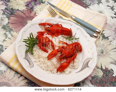 Rivierkreeft maaltijd
