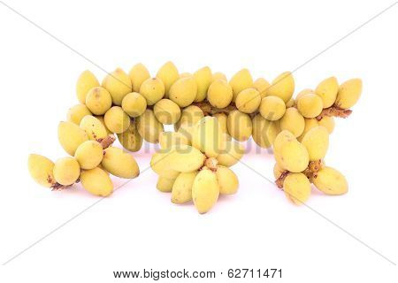 Betel Nuts