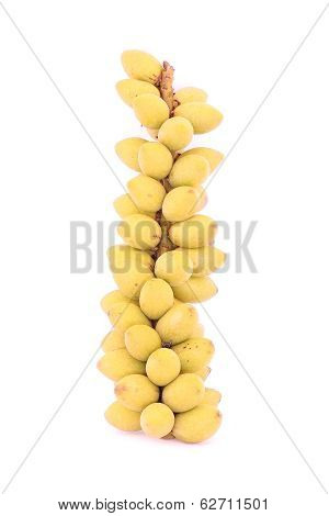 Betel Nuts