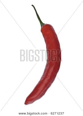 Red Chili