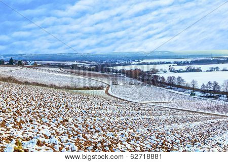 Beautiful Vineyard In Winter