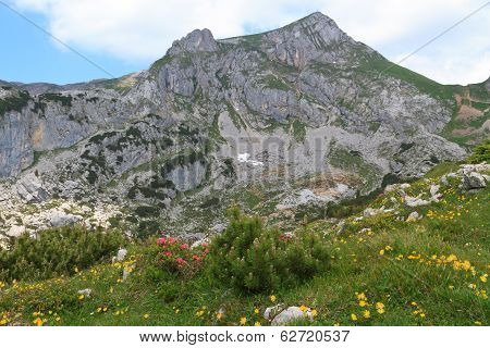 Mountains Landscape in Alps, Austria