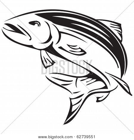 Symbol Salmon