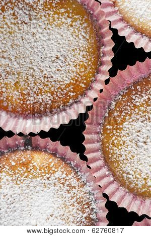 Cupcakes With Powdered Sugar