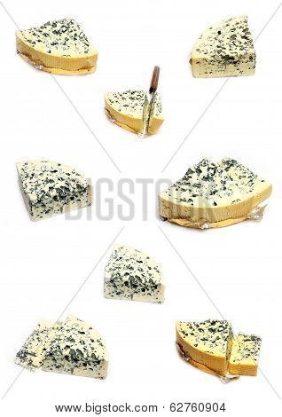 cheese with mildew