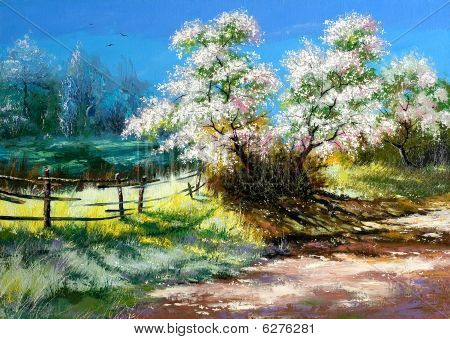 Floraison Bush sur Surburb Rural