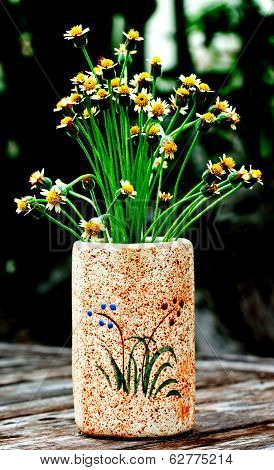 Bloming Flower Of Grass